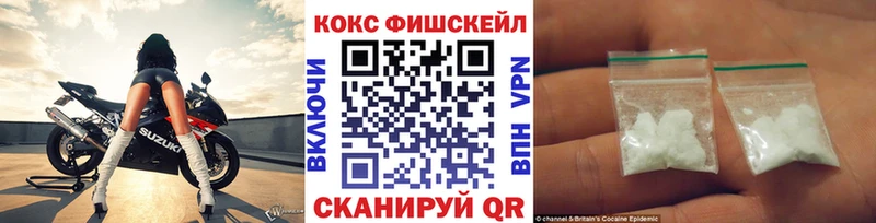 Кокаин Fish Scale  OMG ТОР  Кирсанов  что такое наркотик 