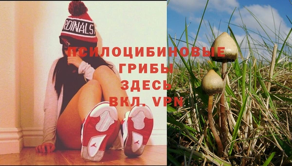 PSILOCYBIN Бугульма