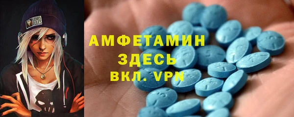 сатива Бронницы