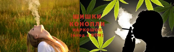 винт Бородино