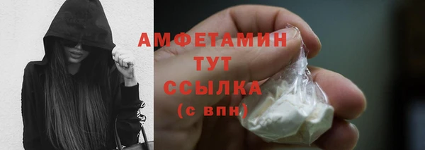 сатива Бронницы