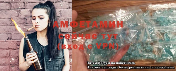 сатива Бронницы