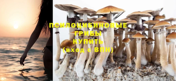 винт Бородино
