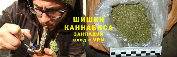 PSILOCYBIN Бугульма
