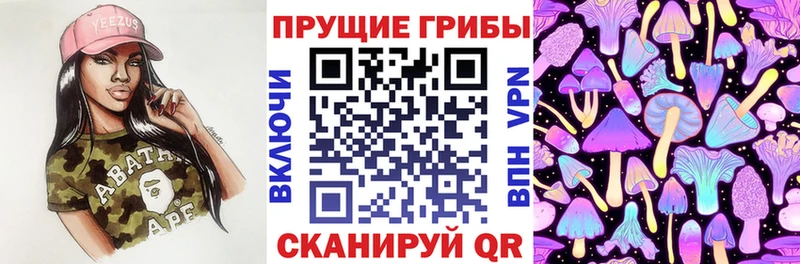 Галлюциногенные грибы Magic Shrooms  Кирсанов 